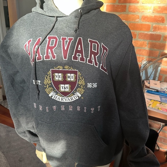 Gray Harvard Hoodie ~ Size XL - Picture 2 of 5